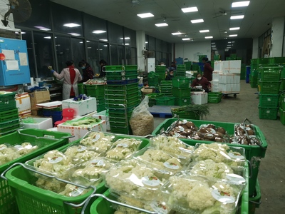 凌晨的繁忙 200噸“菜籃子”高效分揀發(fā)運(yùn)長沙各大商超