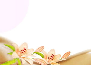 新概念母嬰護(hù)理 重塑家政服務(wù)，打造專(zhuān)業(yè)月嫂與陪護(hù)新標(biāo)桿